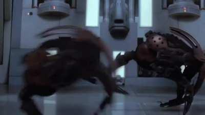 Qui-Gon tags the door