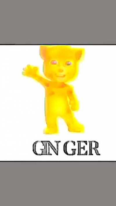 ginger