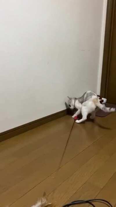 MiGhtY kiNg foRcED tO bEcOMe sLAve oF hIMsELf