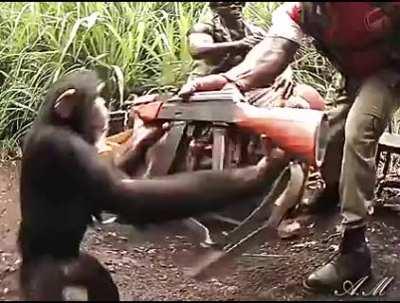 The Lib Center revolution is here