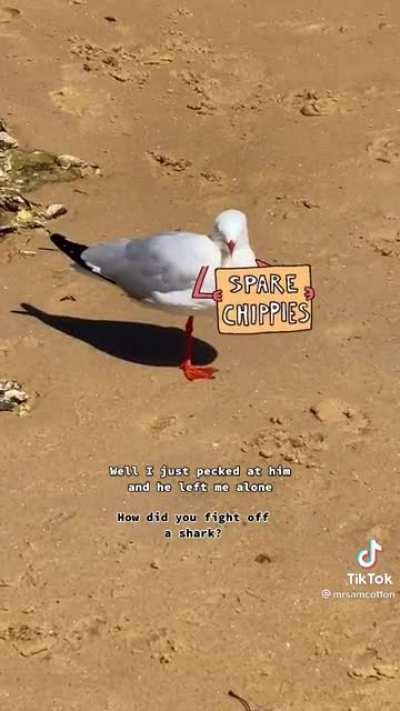 Spare Chippies (Credit in video)