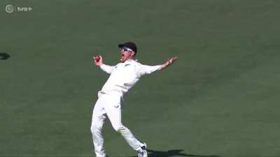 GLENN PHILLIPS at it again