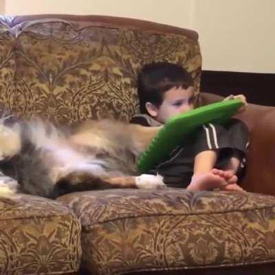 I have been reduced to a stylus