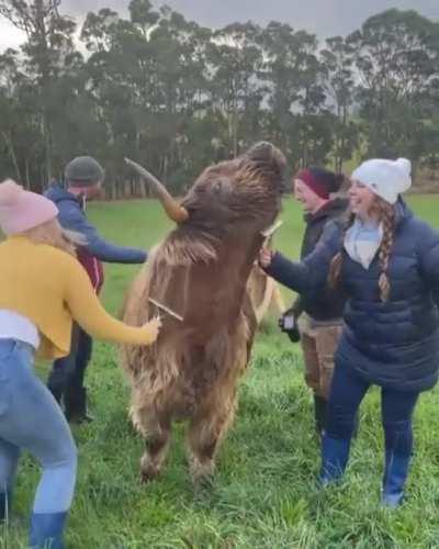 Macy enjoyed her pamper session today.