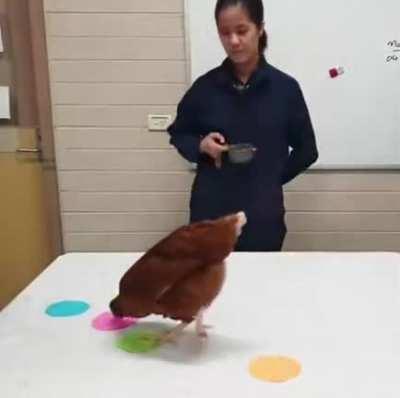 An example of reinforcement learning.