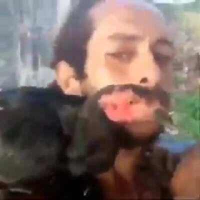 Esse papagaio é raro