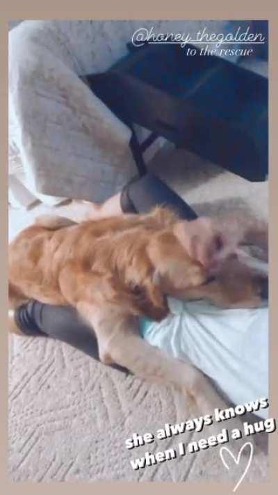 Oh how I want to be honey the golden