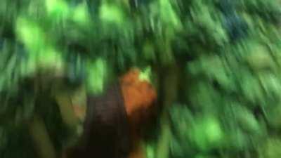 My friend made a train cake for someone who loves trains! Thought you guys might enjoy it.