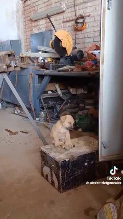 estoy cansado jefe :