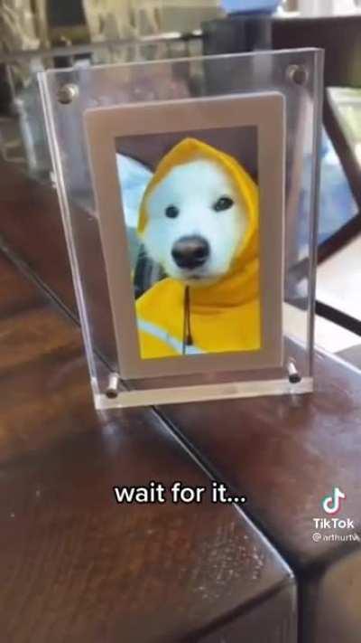 Came across this and just couldn’t resist posting it.