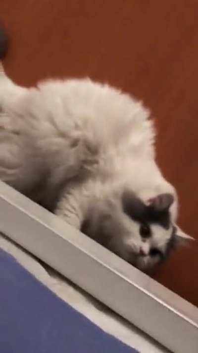 I don’t know why he did that