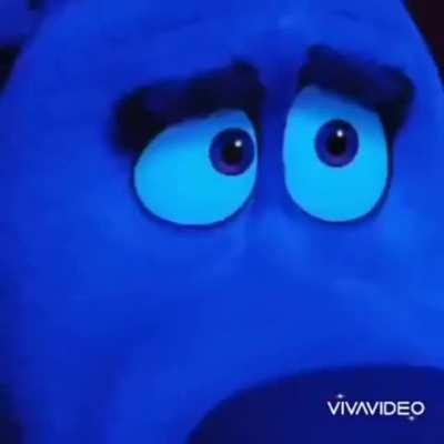 Omg, what do they call him!? 😳😳