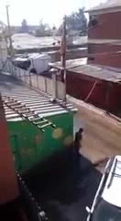 Taunting the police with your bare ass