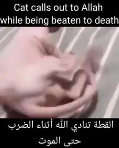 I would like to thank the minions dhampoo bottle for always staring at my cock while i shit he a real one