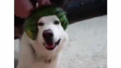 We are rallying the troops!