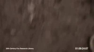 HF after giving us back our $GME and $AMC shares. Victory is for apes buy and hold