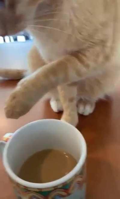 He dosen't know why he did it either.