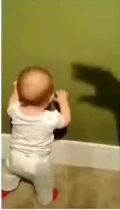 Monster on the wall!