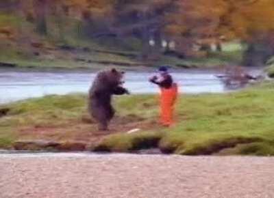 Bears today
