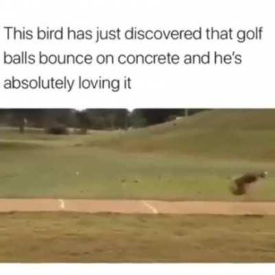 Stupid egg on won't break