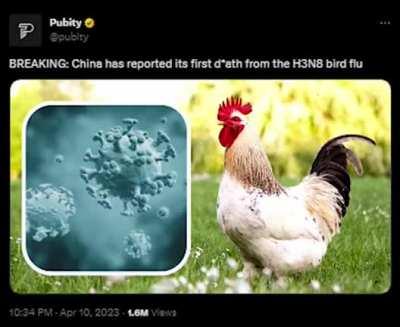 China going for the P rank i see