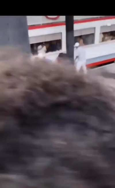 Montgomery Riverboat Brawl 2