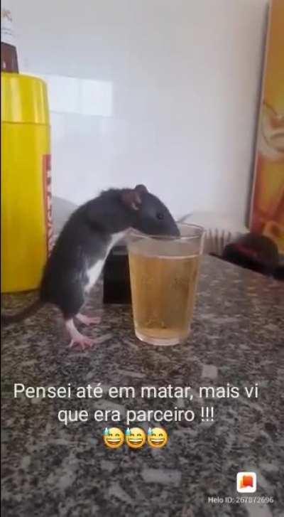 Esse e parceiro 😂