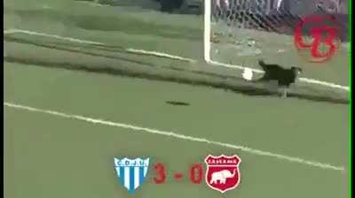 What the hell is happening!