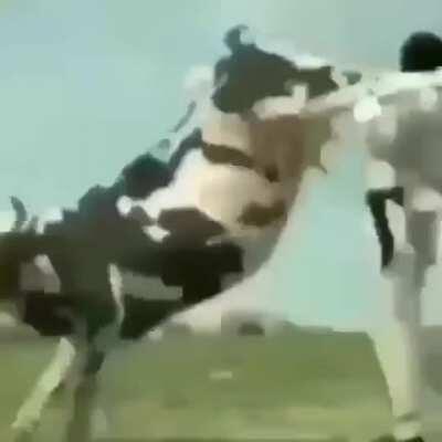 I see why farmers have a hard life now....