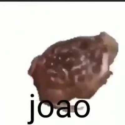 Fundodopoco - Video #2495