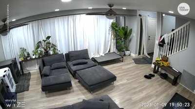 WCGW testing new dog crates