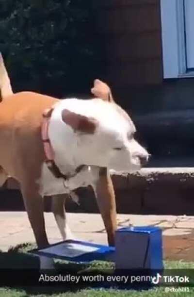 He does not understand.