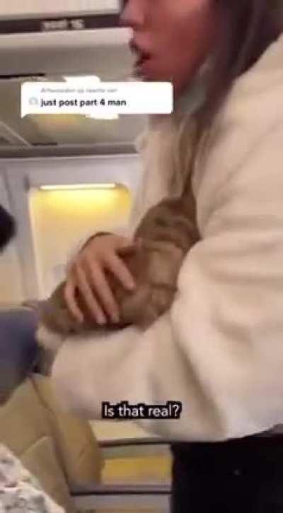 porn intro is getting really weird