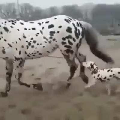 When you meet your soulmate