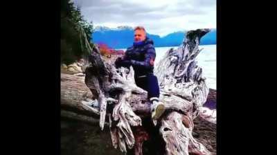 No puede combinar tan bien