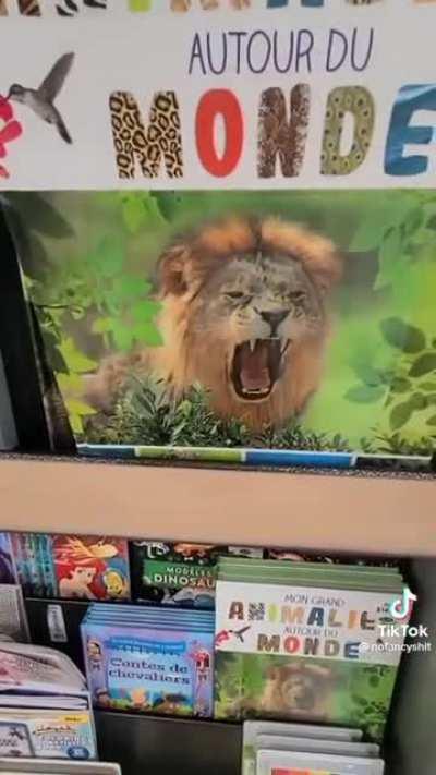 Shopping with a 12 year old