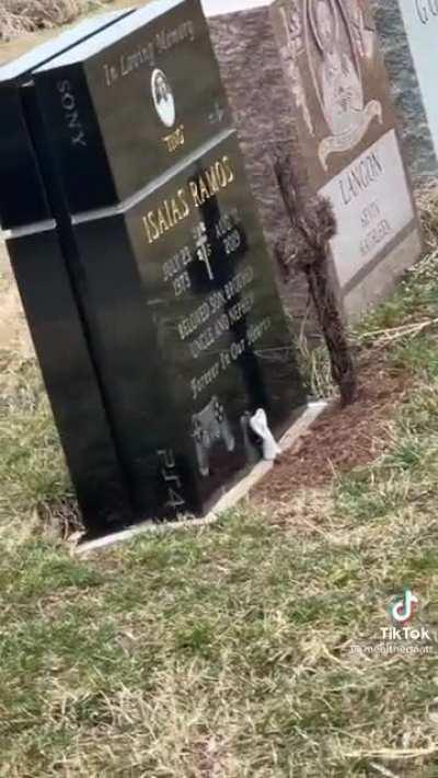 Always gaming, the PS4 was awesome