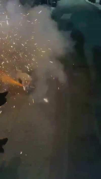 This doggo is best at creating a ruckus..