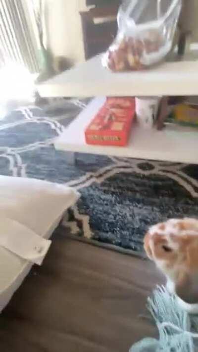 When you get that random burst of energy