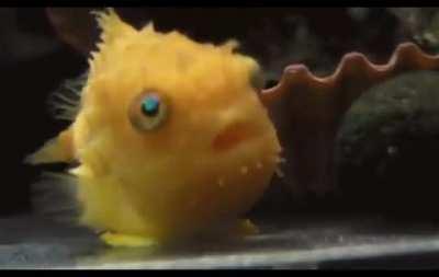 He just cant believe it