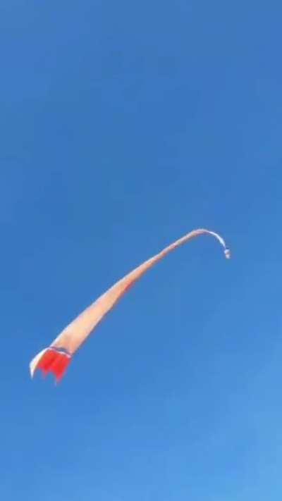 Kid has a story to tell.