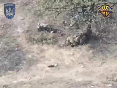 Footage from the aerial reconnaissance unit 