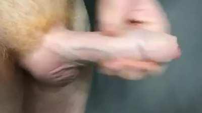 [36] been edging my uncut BWC for hours