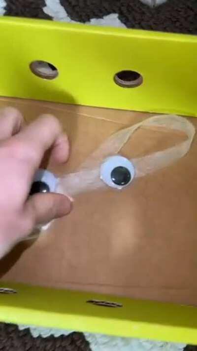 Doguinho ganhando um par de olhos de presente. Achei bonita a atitude e ao mesmo tempo engraçado, mas no bom sentido, se é que me entende.