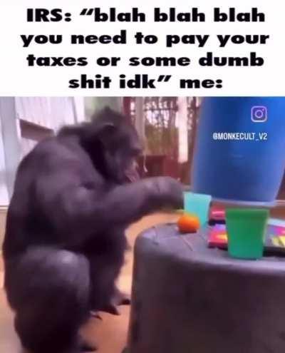 PaY tAxEs 🤡🤡🤡