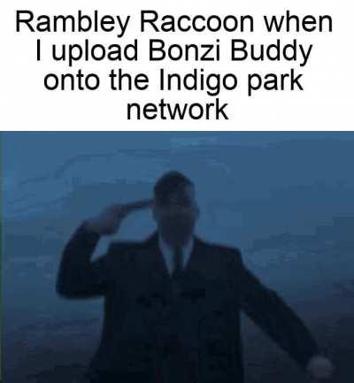 Great apes no diff smelly raccoons