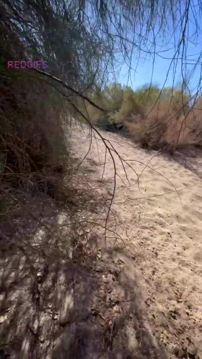 Quick stop on a busy trail