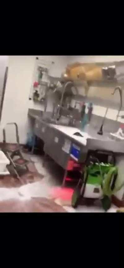 A supposed McDonald’s employee jumping into the full sink