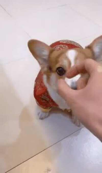 Bitch, don't play with my emotions