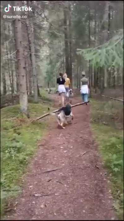 The voiceover makes this clip